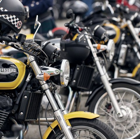 Distinguishes, © Wolfgang Meyer Distinguishes, © Wolfgang Meyer