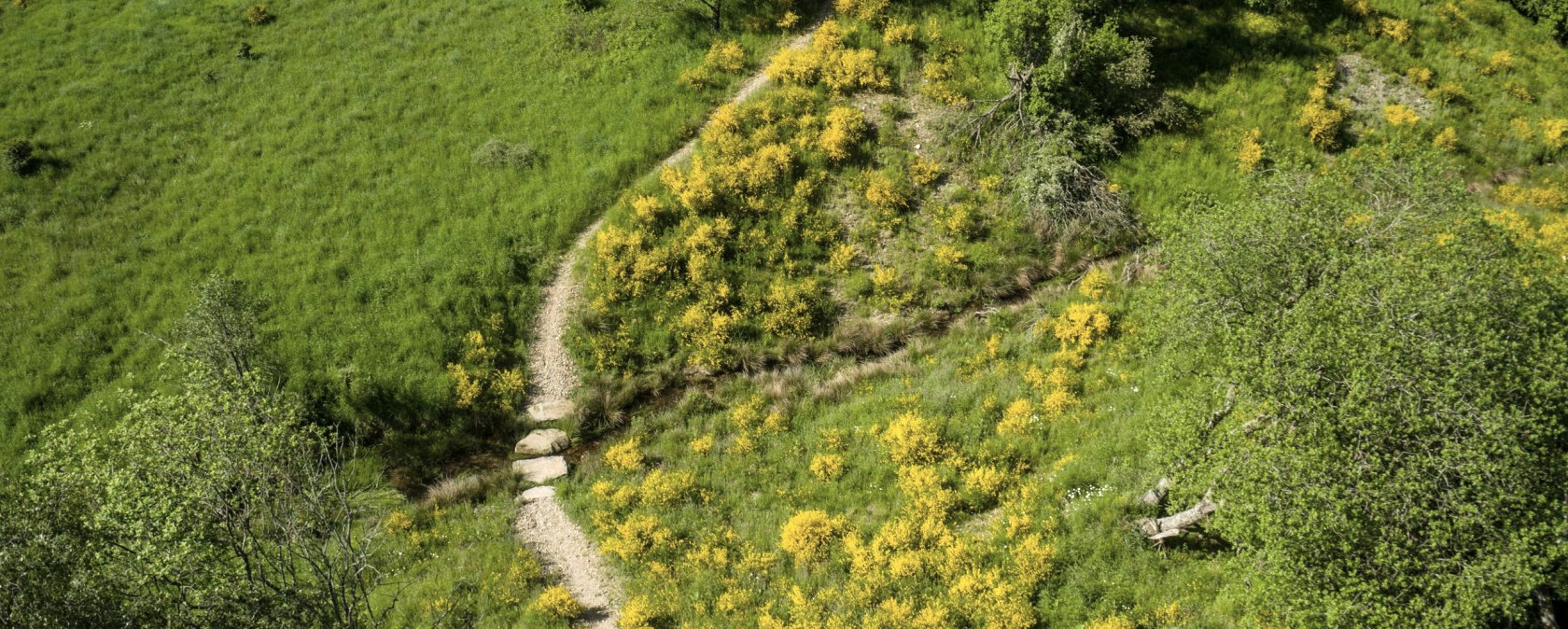 Dreiborner Hochfläche, © Stadt Schleiden - Dominik Ketz Dreiborner Hochfläche, © Stadt Schleiden - Dominik Ketz