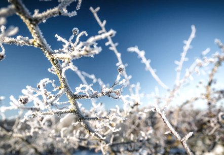Glühweinwanderung, © Frank Wiesen Glühweinwanderung, © Frank Wiesen
