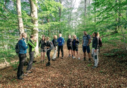 Geführte Wanderung, © Paul Meixner Geführte Wanderung, © Paul Meixner