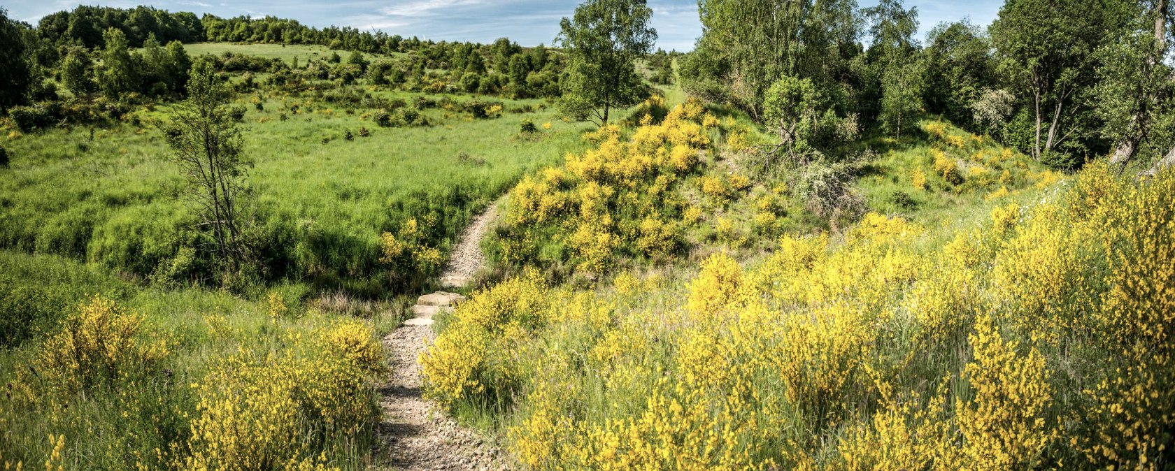 Dreiborner Hochfläche, © Stadt Schleiden - Dominik Ketz Dreiborner Hochfläche, © Stadt Schleiden - Dominik Ketz