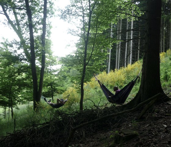 Wanderung, © Nationalparkseelsorge Vogelsang Wanderung, © Nationalparkseelsorge Vogelsang