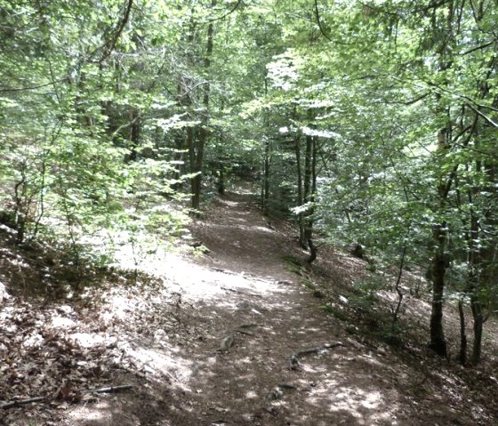 P1010650, © Nordeifel Tourismus GmbH & Ferienwohnung Geschwind W. P1010650, © Nordeifel Tourismus GmbH & Ferienwohnung Geschwind W.