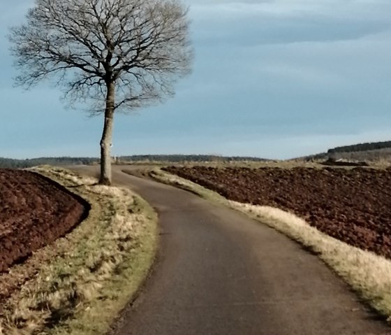 Hohenfried, Gemünd Hohenfried, Gemünd