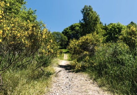 Kachel Wandern Kachel Wandern
