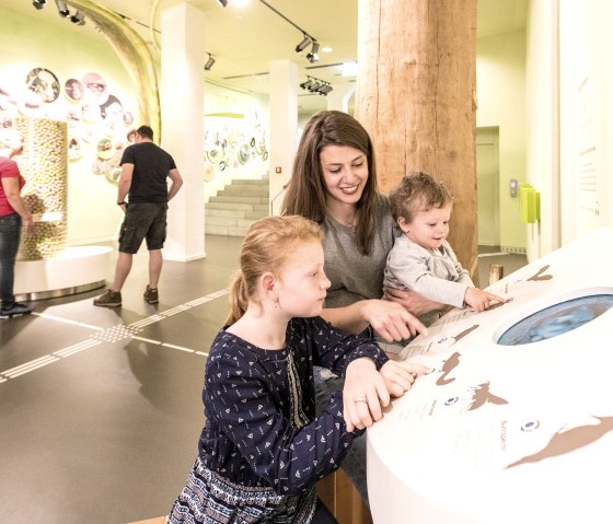 Für Jung und Alt, es viel zu entdecken .., © Dominik Ketz Für Jung und Alt, es viel zu entdecken .., © Dominik Ketz