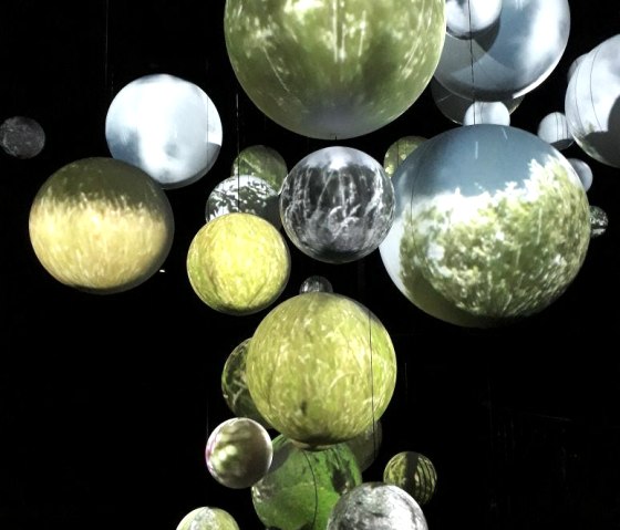 IMG-20180120-WA0009 IMG-20180120-WA0009