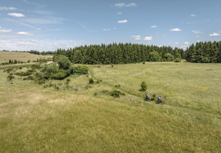 Blick auf die weite Dreiborner Hochfläche, © Eifel Tourismus, Dennis Stratmann Blick auf die weite Dreiborner Hochfläche, © Eifel Tourismus, Dennis Stratmann