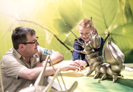 Ausstellung Wildnis(t)räume mit Kindern besuchen, © Nationalpark Eifel Ausstellung Wildnis(t)räume mit Kindern besuchen, © Nationalpark Eifel