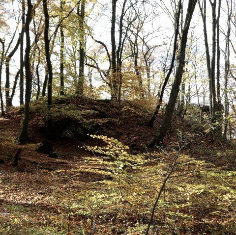 Wanderung, © creativcommons Wanderung, © creativcommons