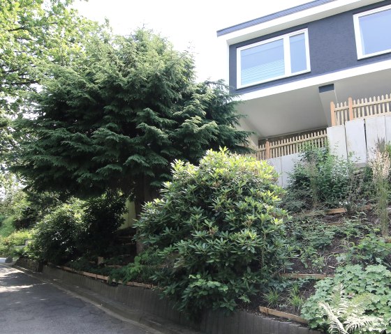 Frontansicht, © Nordeifel Tourismus GmbH & Haus Paulus Frontansicht, © Nordeifel Tourismus GmbH & Haus Paulus