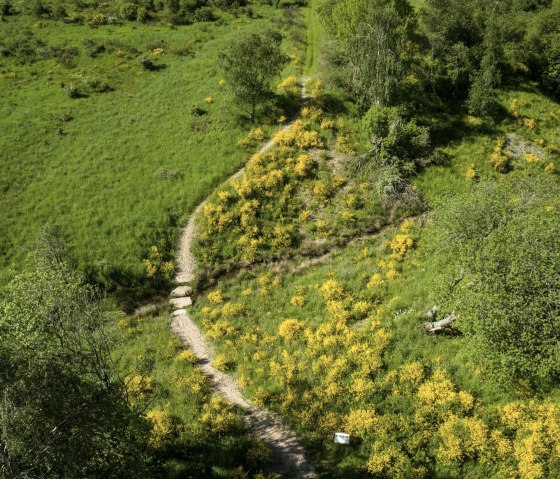 Dreiborner Hochfläche, © Stadt Schleiden - Dominik Ketz Dreiborner Hochfläche, © Stadt Schleiden - Dominik Ketz