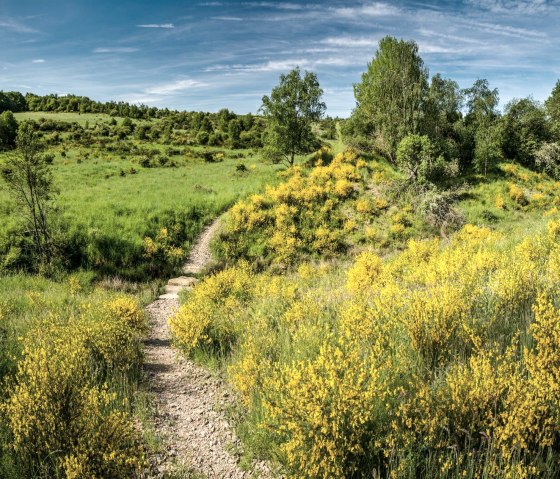 Dreiborner Hochfläche, © Dominik Ketz & Nordeifel Tourismus GmbH Dreiborner Hochfläche, © Dominik Ketz & Nordeifel Tourismus GmbH