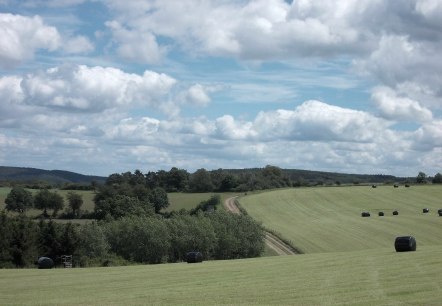 Geführte Wanderung, © Guido Hendle Geführte Wanderung, © Guido Hendle