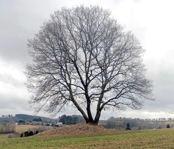 Wanderung nach Kall, © Rainer Faymonville Wanderung nach Kall, © Rainer Faymonville