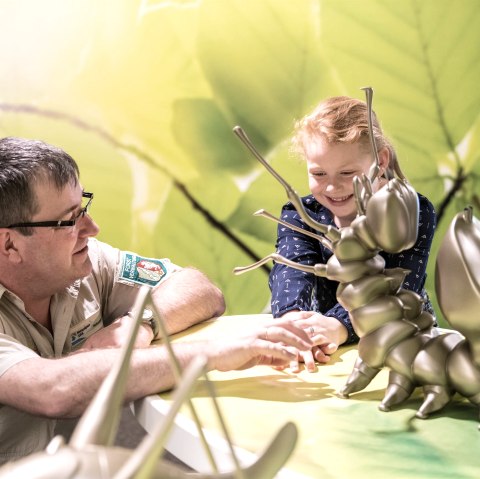Ausstellung Wildnis(t)räume mit Kindern besuchen, © Nationalpark Eifel, D. Ketz Ausstellung Wildnis(t)räume mit Kindern besuchen, © Nationalpark Eifel, D. Ketz