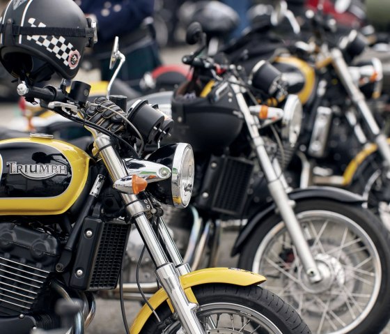 Distinguishes, © Wolfgang Meyer Distinguishes, © Wolfgang Meyer