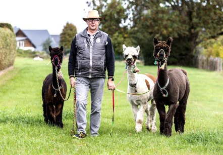 Alpakas, © Familie Mey Alpakas, © Familie Mey