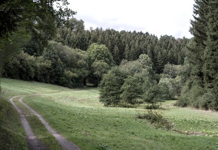 Erlebniswanderung "Sonne, Mond und Sterne", © Nordeifel Tourismus GmbH Erlebniswanderung "Sonne, Mond und Sterne", © Nordeifel Tourismus GmbH