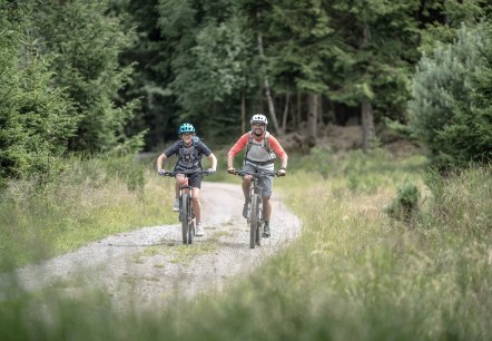 Freifahrt Eifel Mountainbike-Touren, © Eifel Tourismus GmbH, Dennis Stratmann Freifahrt Eifel Mountainbike-Touren, © Eifel Tourismus GmbH, Dennis Stratmann