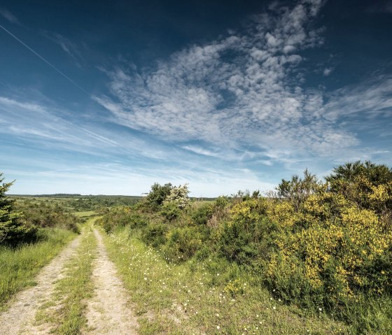 Dreiborner Hochfläche, © Stadt Schleiden, Dominik Ketz Dreiborner Hochfläche, © Stadt Schleiden, Dominik Ketz