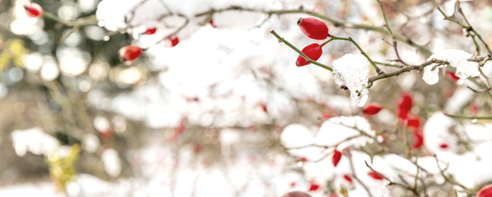 Winter Vibes, © Frank Wiesen Winter Vibes, © Frank Wiesen