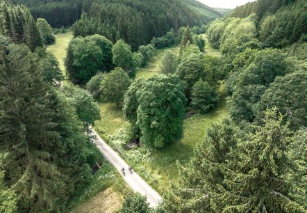 Radfahrer im Prethtal, © Eifel Tourismus GmbH - Dennis Stratmann Radfahrer im Prethtal, © Eifel Tourismus GmbH - Dennis Stratmann