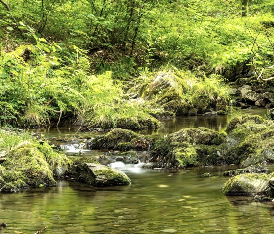 Wald2_D. Ketz Wald2_D. Ketz