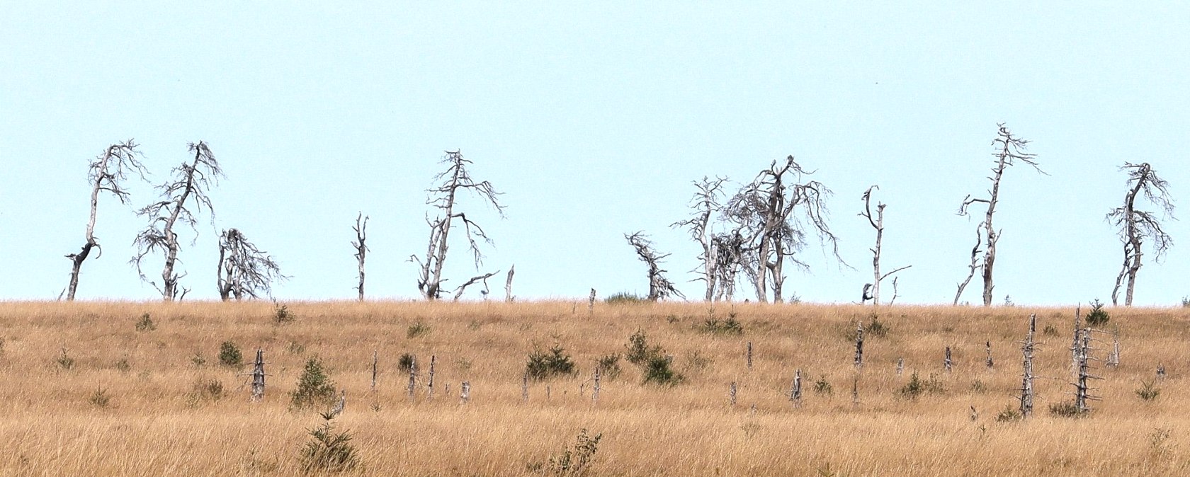 Wanderung Hohes Venn, © Rainer Faymonville Wanderung Hohes Venn, © Rainer Faymonville