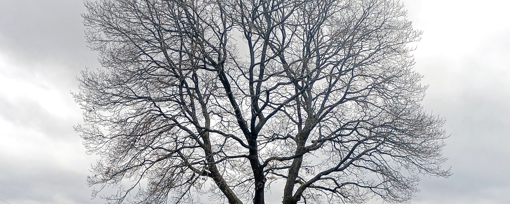 Wanderung nach Kall, © Rainer Faymonville Wanderung nach Kall, © Rainer Faymonville