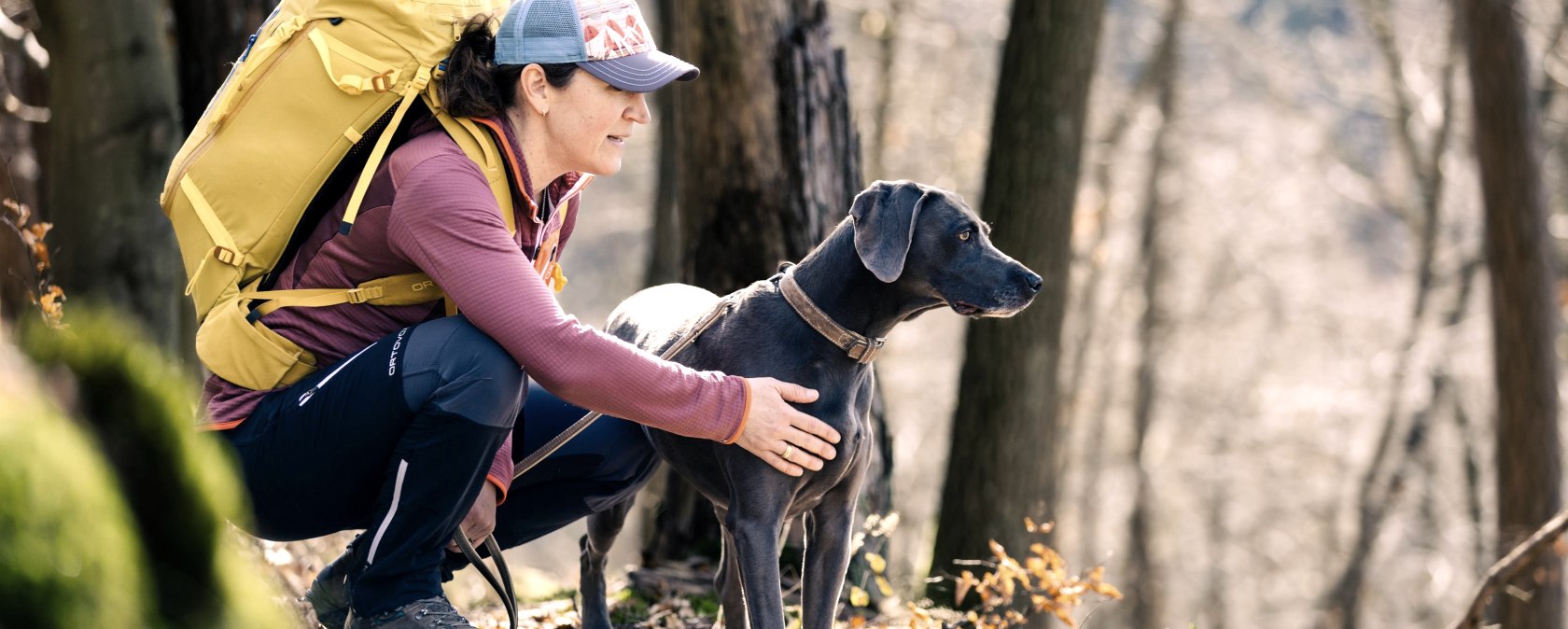 Dog Walk, © Frank Wiesen Dog Walk, © Frank Wiesen