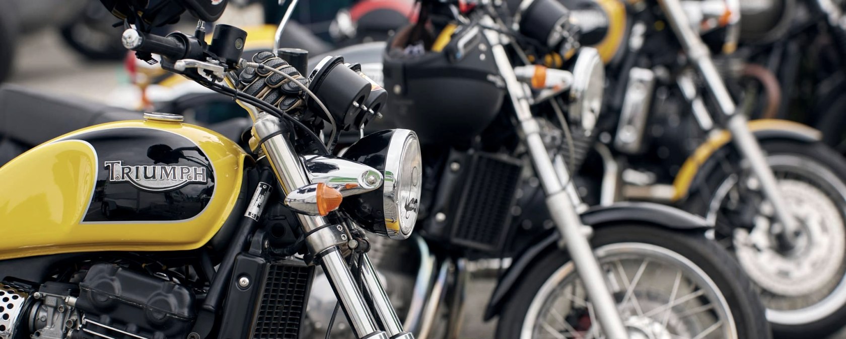 Distinguishes, © Wolfgang Meyer Distinguishes, © Wolfgang Meyer