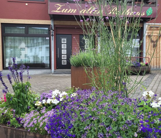 20240721_085829 20240721_085829