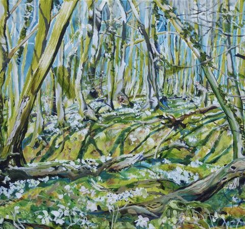 Frühlingswald Frühlingswald