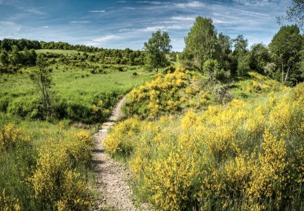 Dreiborner Hochfläche, © Stadt Schleiden - Dominik Ketz Dreiborner Hochfläche, © Stadt Schleiden - Dominik Ketz