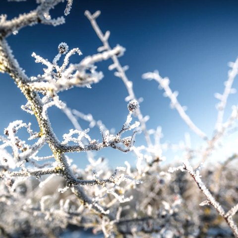 Glühweinwanderung, © Frank Wiesen Glühweinwanderung, © Frank Wiesen