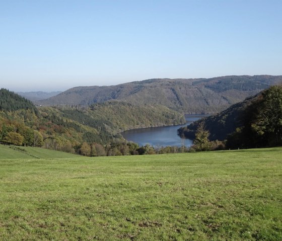 Rursee bei Einruhr, © Edgar Hoss & Nordeifel Tourismus GmbH Rursee bei Einruhr, © Edgar Hoss & Nordeifel Tourismus GmbH