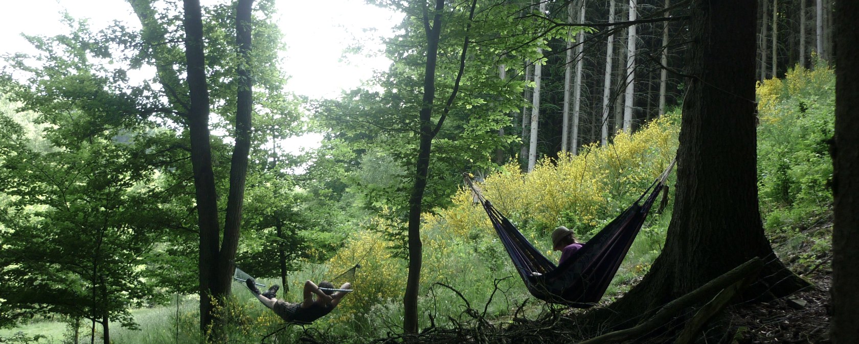 Wanderung, © Nationalparkseelsorge Vogelsang Wanderung, © Nationalparkseelsorge Vogelsang