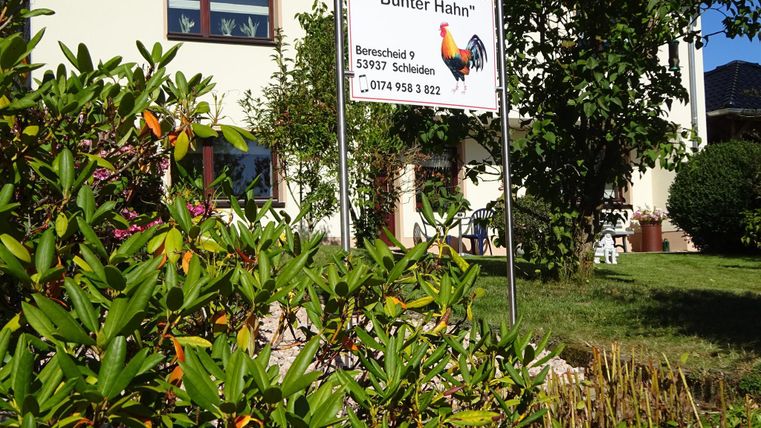 Ein Ferienhaus mit dem Namen "Bunter Hahn" und einem bunten Huhn-Symbol. Die Umgebung ist grün mit vielen Pflanzen und einem gepflegten Garten.