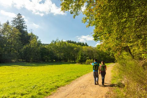 Zwei Wanderer gehen auf einem Schotterweg durch eine grüne Landschaft. Im Hintergrund sind Bäume und ein klarer Himmel zu sehen.