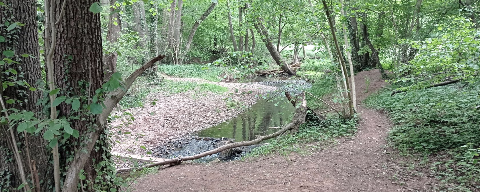 Missie om kracht te putten, © Seelsorge in Nationalpark Eifel und Vogelsang