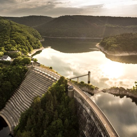 Urfttalsperre im Morgenlicht, © Eifel Tourismus GmbH, Dominik Ketz