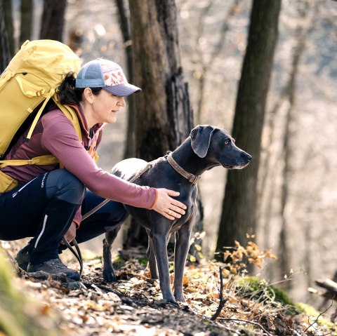 Dog Walk, &copy; Frank Wiesen