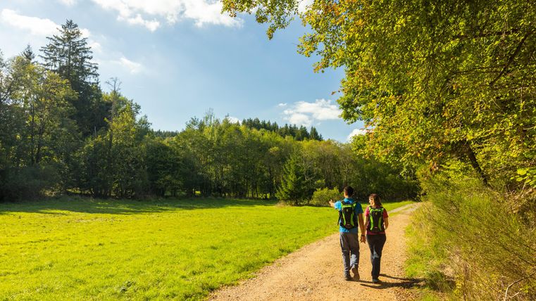 Zwei Personen gehen auf einem Weg durch eine grüne Wiese. Im Hintergrund sind Bäume und ein blauer Himmel zu sehen.