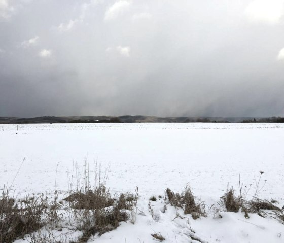 Dreiborner Hochfl&auml;che