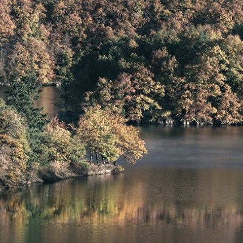 Herbstlicher Urftsee, © Frank Wiesen