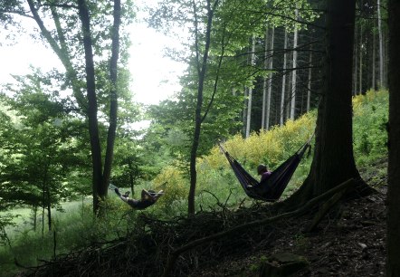 Wanderung, &copy; Nationalparkseelsorge Vogelsang