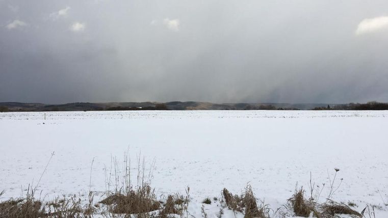 Eine schneebedeckte Landschaft mit einem grauen Himmel. In der Ferne sind kahle Bäume und Hügel sichtbar.