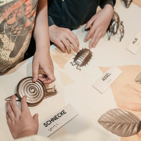 Tastmodelle Kleine Lebewesen