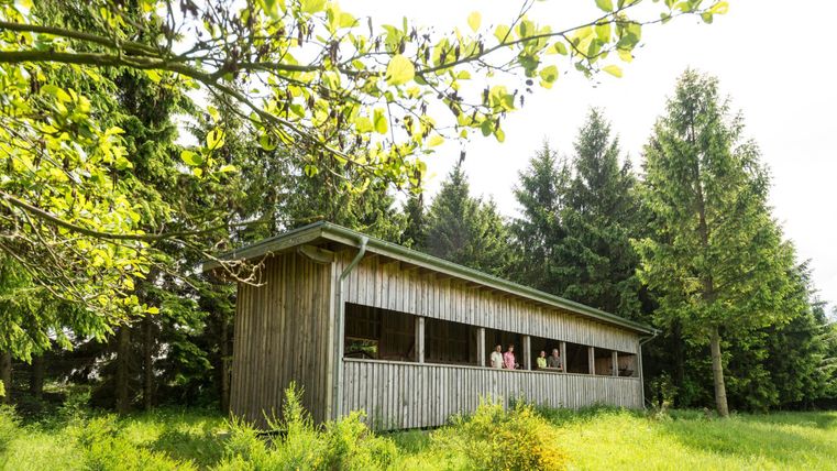 Ein Holzgebäude steht inmitten von grünen Wiesen und Bäumen. Das Gebäude hat große Fenster, die auf die schöne Natur blicken.